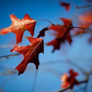 Meet your Posher, Jie